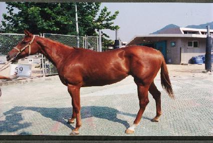 ���� ����