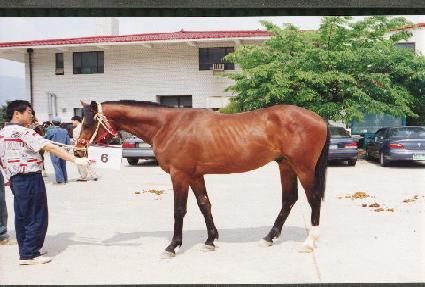 �������� ����