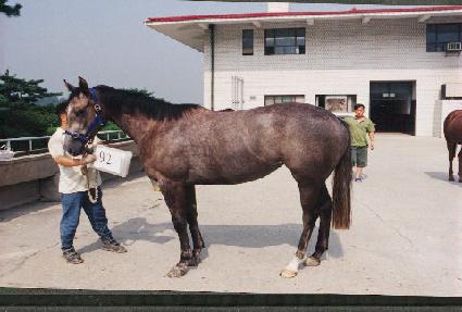 ���ǹ��� ����