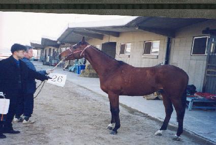 Ȱ�� ����