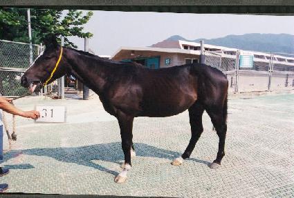 ����ʽ� ����