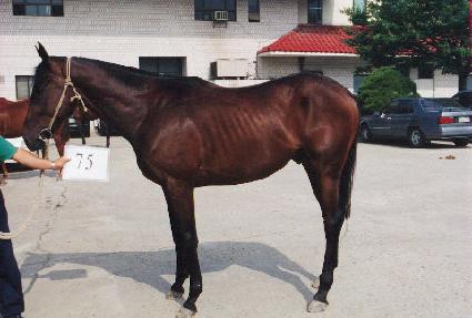 ���Ѻ� ����