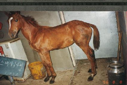 �̽������Ͼƾ��ڸ� ����