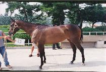 ��� (TAEBUNG) ����