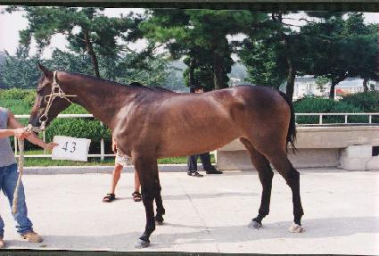 ��� ����