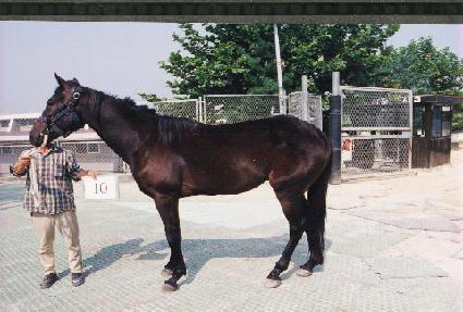 û���� ����