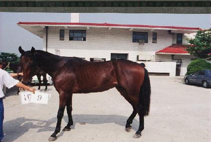 ��ħ�� ����