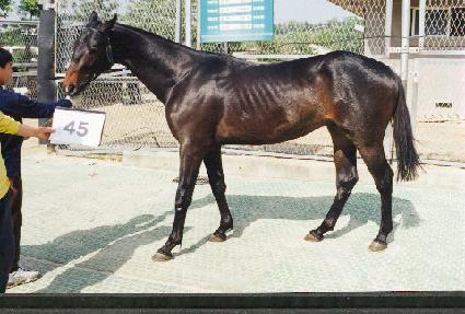 �޸�ȥ ����