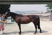 ������ (CHEONGGWAJEONG) ����