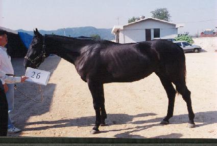 ��ȭ�� ����