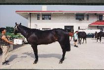 �ſ� (KEOYE) ����