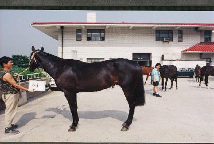 �ſ� ����