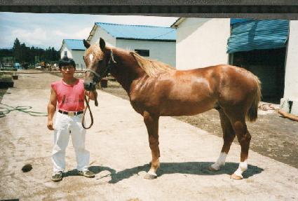 ��û ����