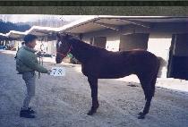 ��ȣ�屺 (MIHO CHANGGUN) ����