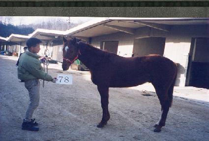 ��ȣ�屺 ����