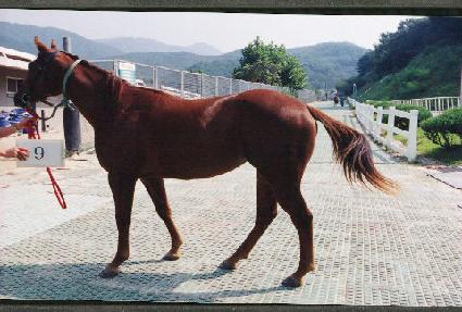 ������ ����