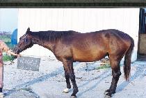 ����ǰ (NAEJAKP��UM) ����