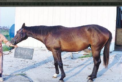 ����ǰ ����