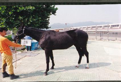 �̽����� ����