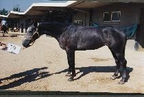 �����ĵ� (EUNBITP��ADO) ����