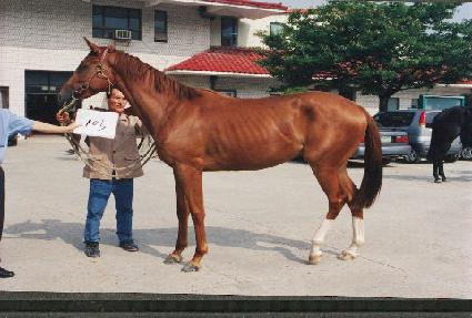 ������ ����