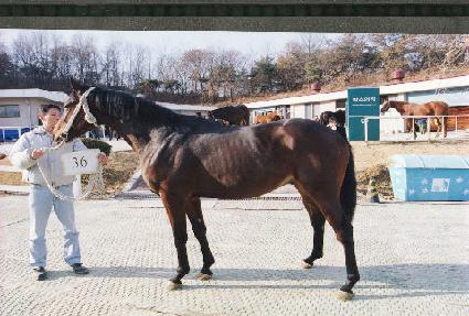 ������ ����