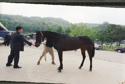 ������� ����