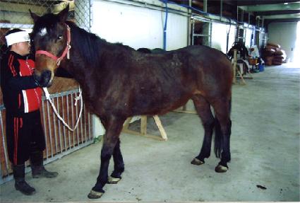 �����Կ��� ����