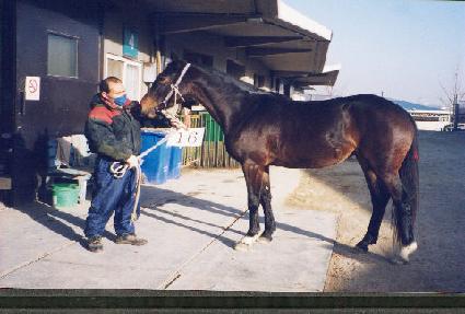 ���ӿ� ����