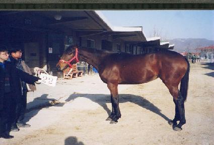 ����� ����