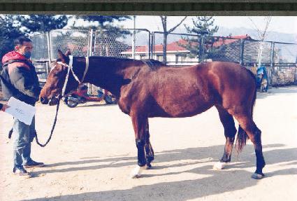 ���� ����