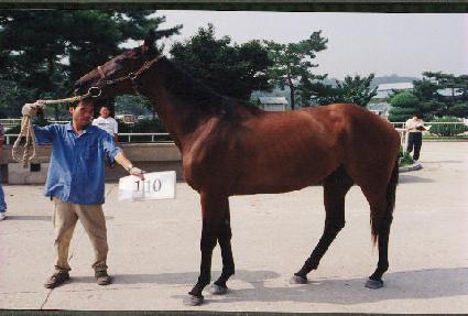 �ִ���� ����