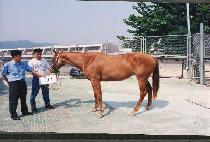 ��õ (ALCH��EON) ����