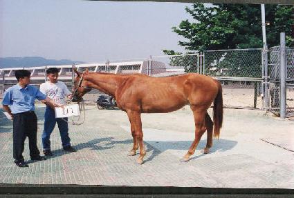 ��õ ����