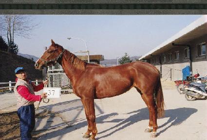 �������� ����