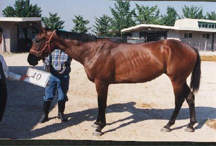 ���ع��� ����