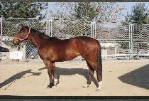 �ҿ����� (SOWON SEONGCH��WI) ����