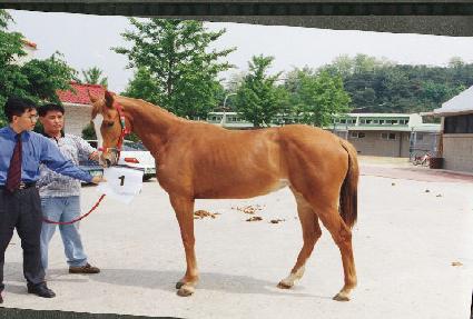 �ҽ� ����