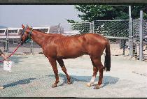 �ºλ� (SEUNGBUSA) ����