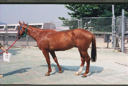 �ºλ� ����