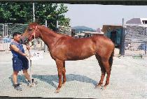 �̷��ູ (MIRAEHANGBOK) ����