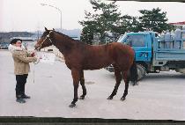 ��°��� (SANGSEUNG KADO) ����