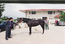 �ߴ������� (TTEUNEUNHEUKCHINJU) ����