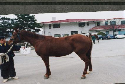 �η�� ����