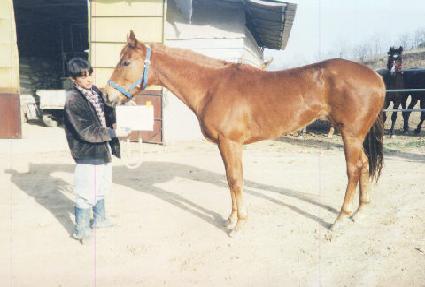 �츮���� ����