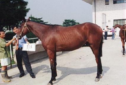 ������ ����