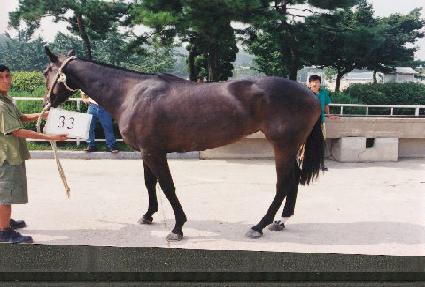 �����º� ����