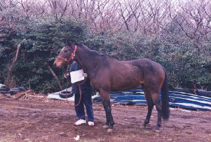 ���ǵ������ ����