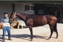 ����� (MADANGSOE) ����