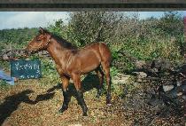 �������츮�ڸ� ����